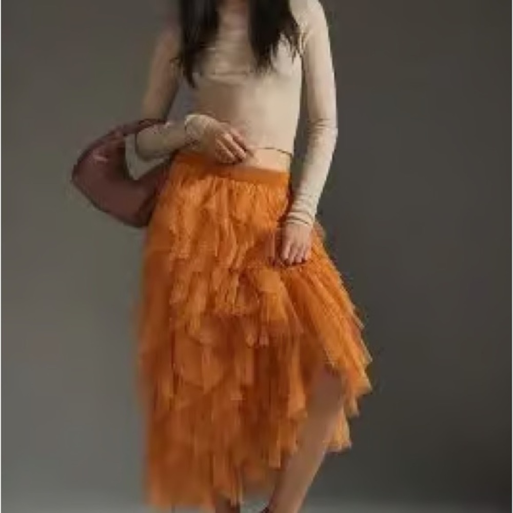Anthropologie Evelyn Cheri Cheri midi skirt size L